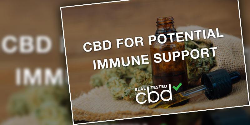 CBD Immune System