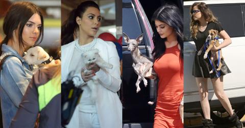 Kardashian pets