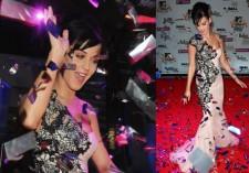 2009__11__perrymain 225×157.jpg