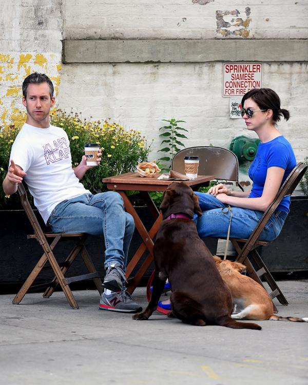 Anne hathaway puppy