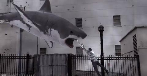 Sharknado