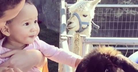 Chrissy teigen luna stephens pet bunnies 1