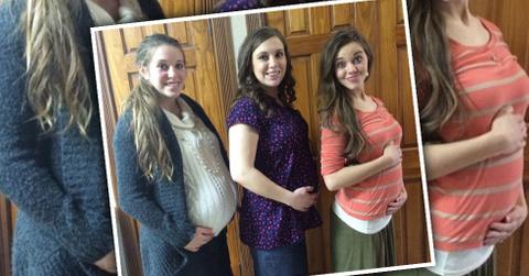 Pregnant duggar ladies