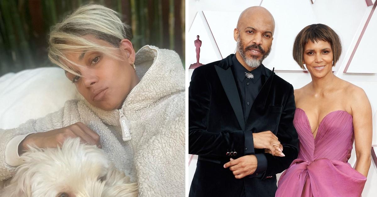 Halle Berry Says Her Dogs Are All She Needs After Demanding Prenup