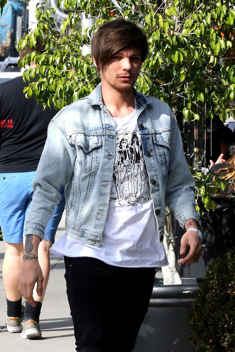 Louis tomlinson custody battle photos