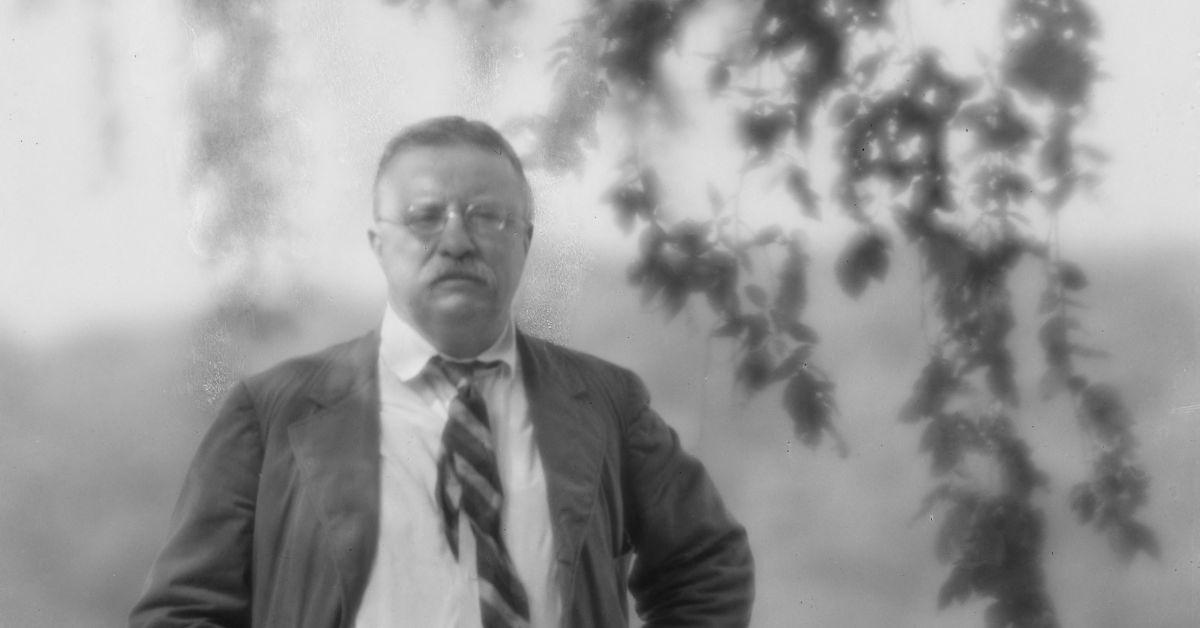 theodore roosevelt