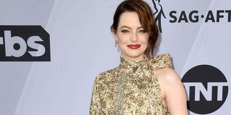 Emma Stone Made a Rare Appearance With Husband Dave McCary During