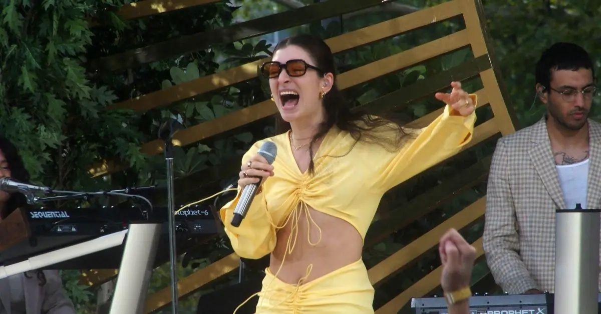 lorde sparks concern fans after sharing photo crying