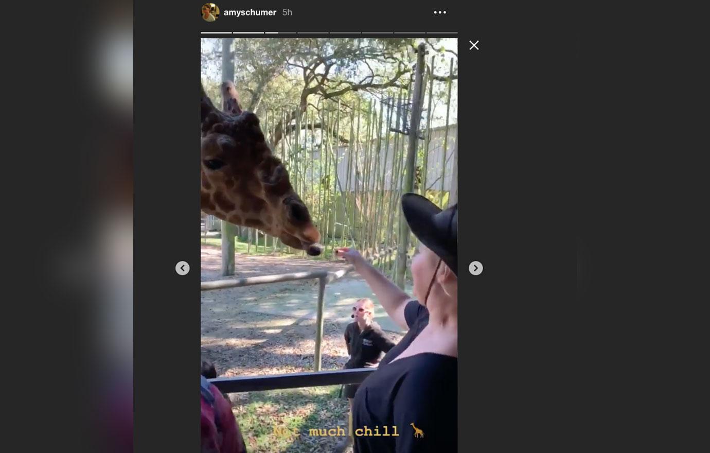 amy schumer feeds giraffe