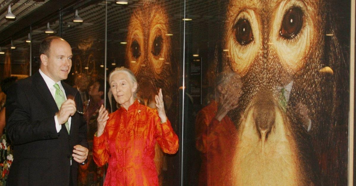 jane goodall life in photos animal welfare activist dead at