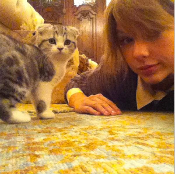 The 42 Cutest Celebrity Pets Of 2013