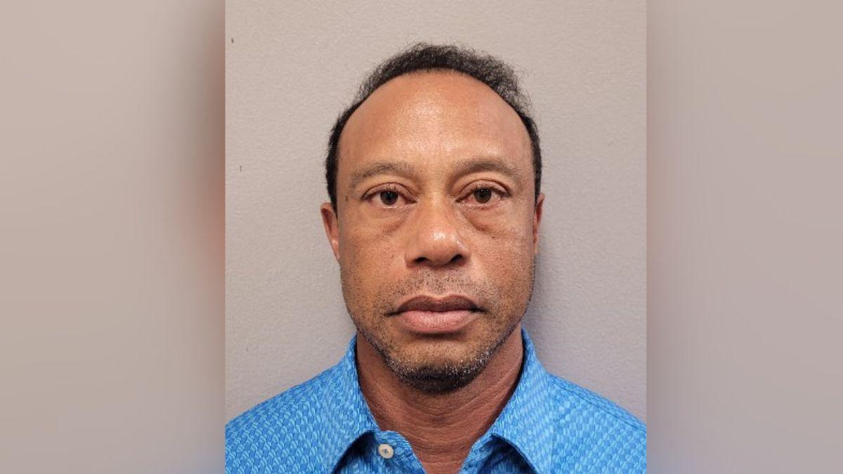 image of The pro golfer was involved in another DUI-related incident in 2017.
