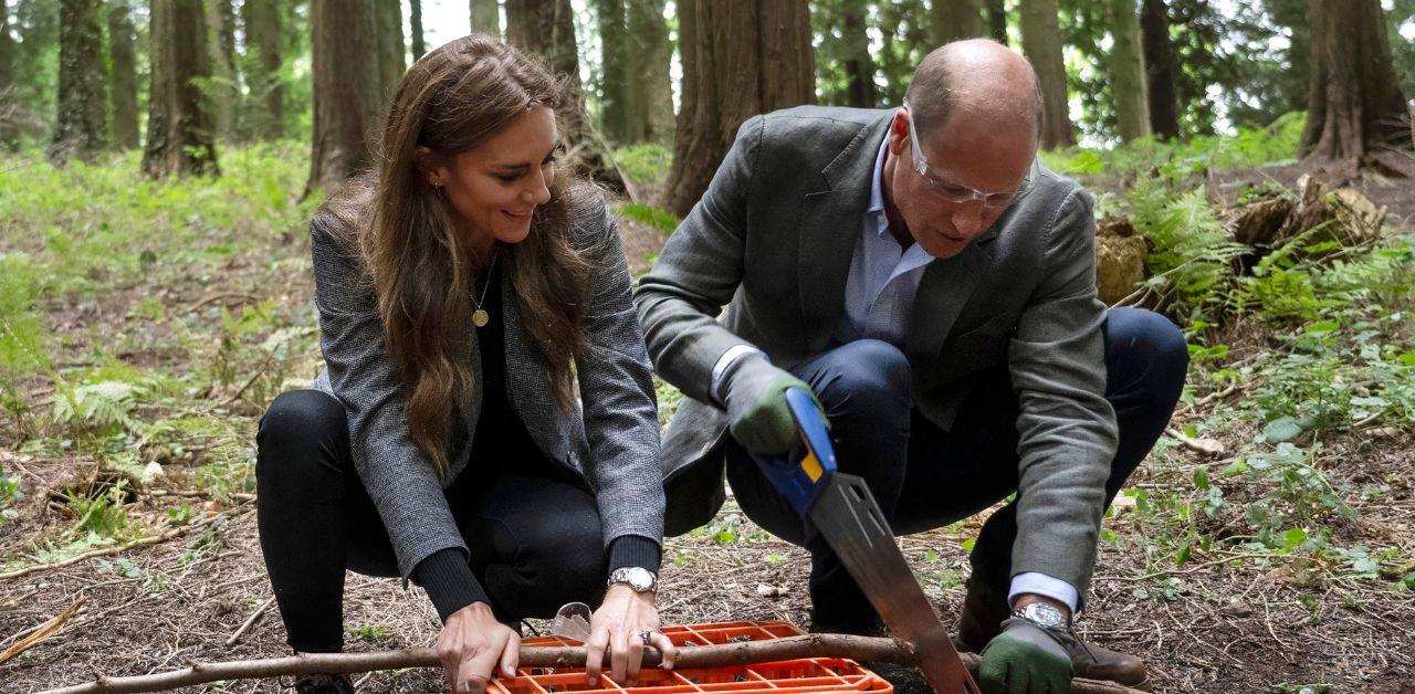 monarchy rests prince william shoulders king charles kate middleton cancer