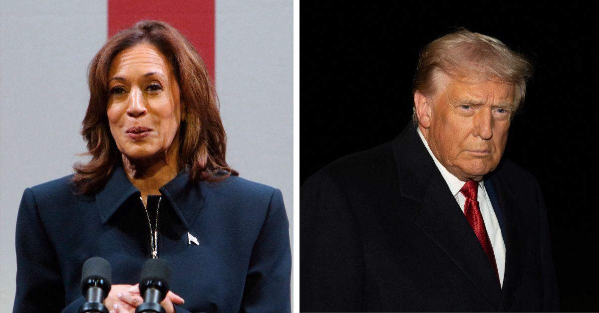 image of Barack Obama reportedly worried that Kamala Harris might not be able to beat Donald Trump.