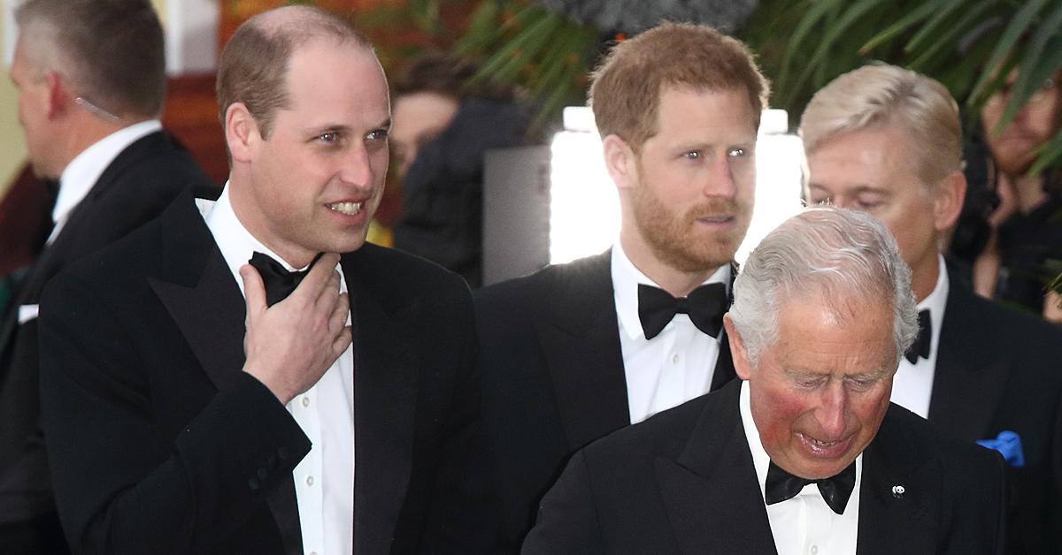 prince charles closer son harry over william