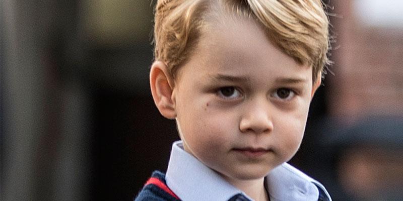 Prince george nanny pp