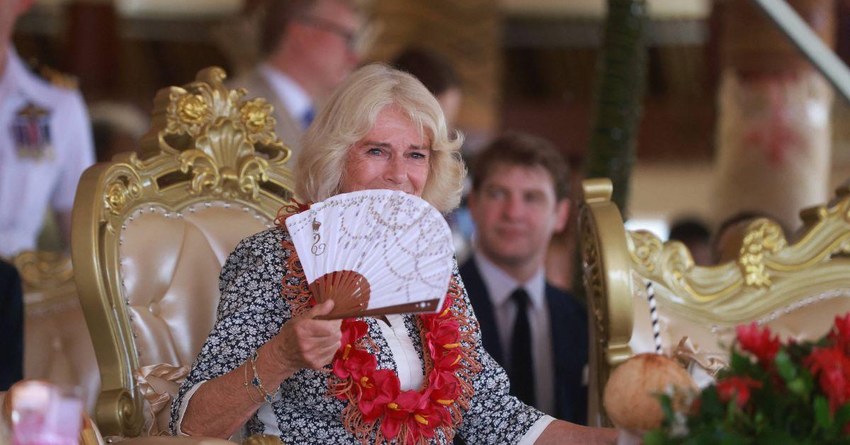 queen camilla son debunks conspiracy theory chest infection