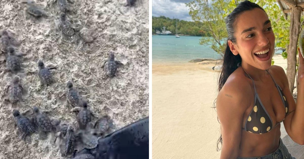 image of Dua Lipa celebrated in Jamaica before turning 30.