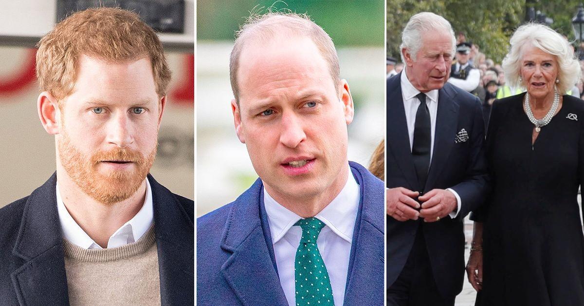 Prince Harry, Prince William Argued With Charles About Camilla