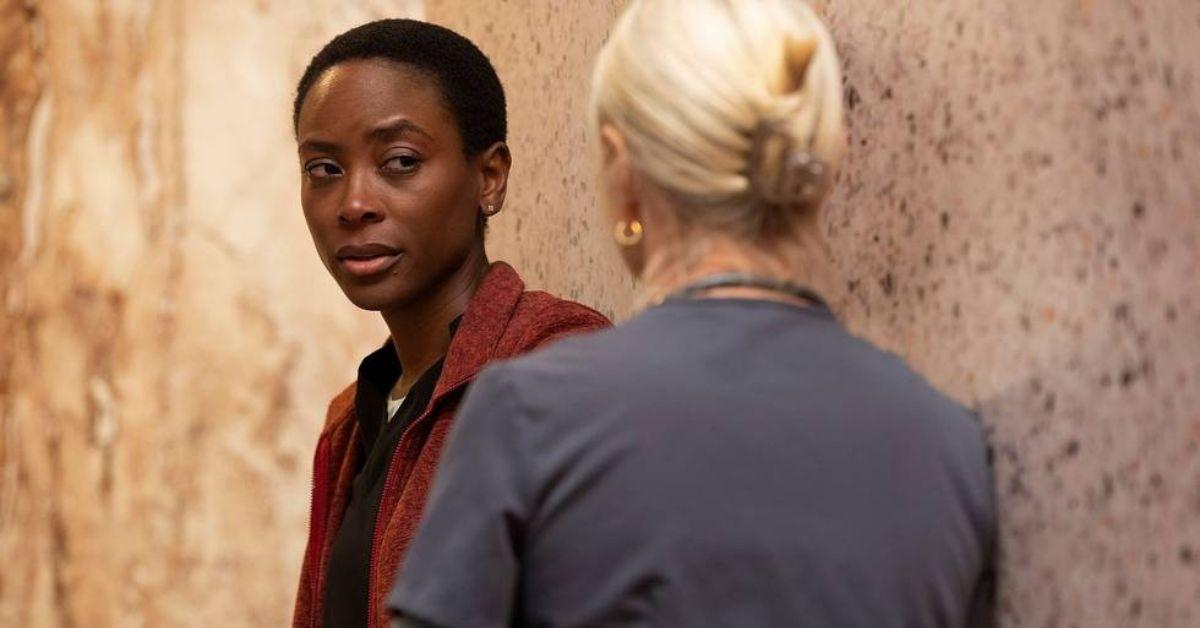 the pitt season  cast shakeup plot release date more