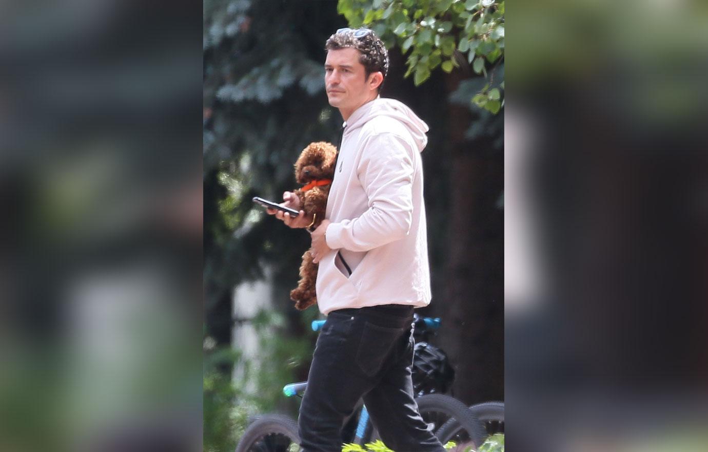 Orlando bloom puppy