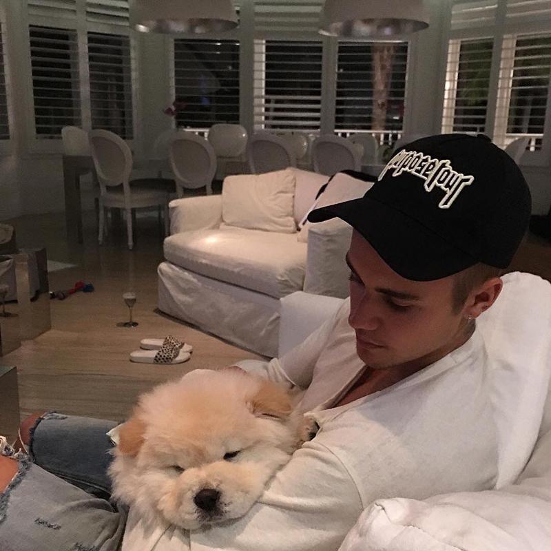 Justin bieber abandons dog todd go fund me 02