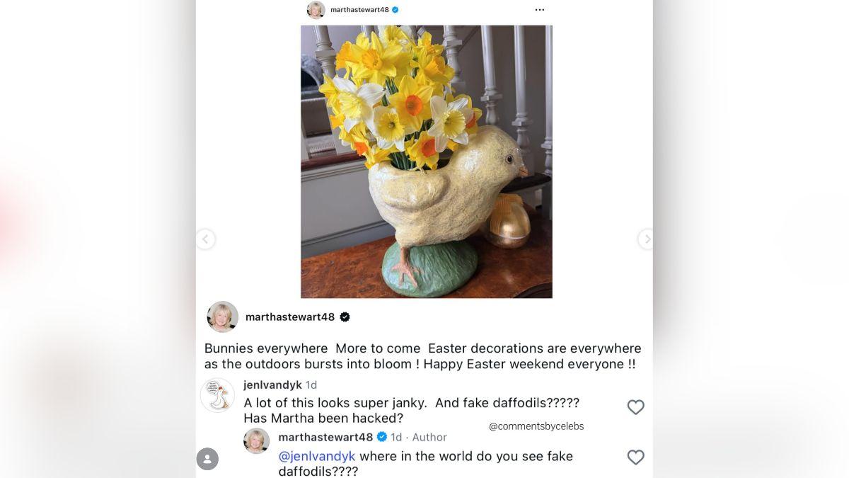 Image of Martha Stewart was accused of promoting a fake floral decoration.
