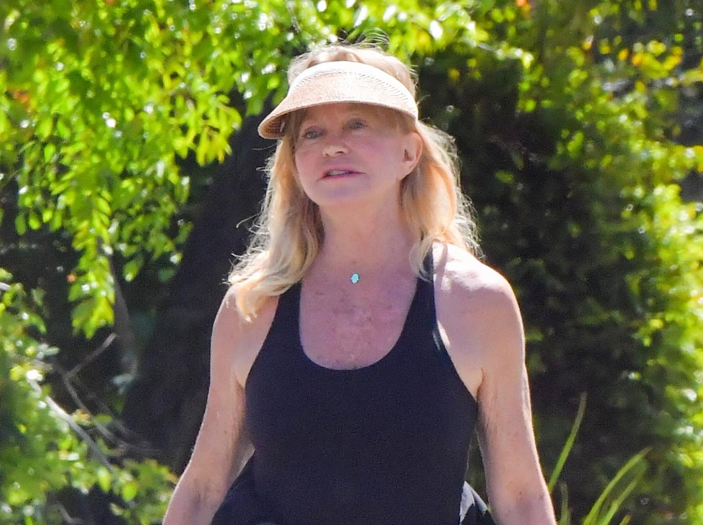 What Is Goldie Hawn's Net Worth?