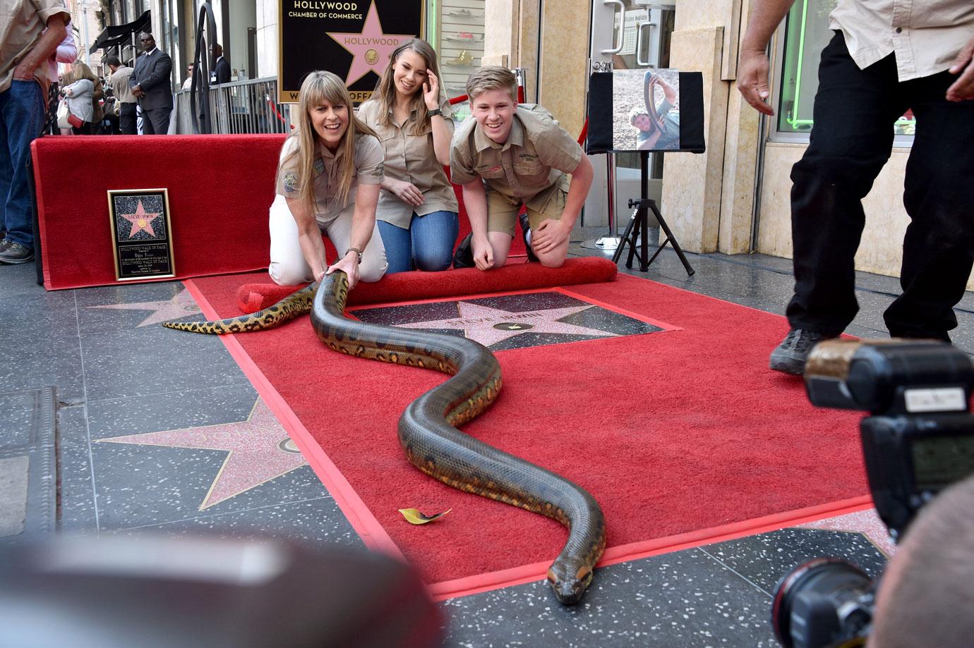 bindi irwin family snake