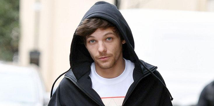 Louis tomlinson airport fight arrested hit fan hr