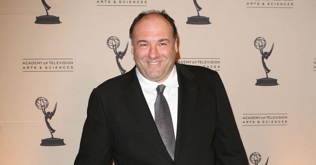 hbo concerned sopranos james gandolfini staying alive new book reveals