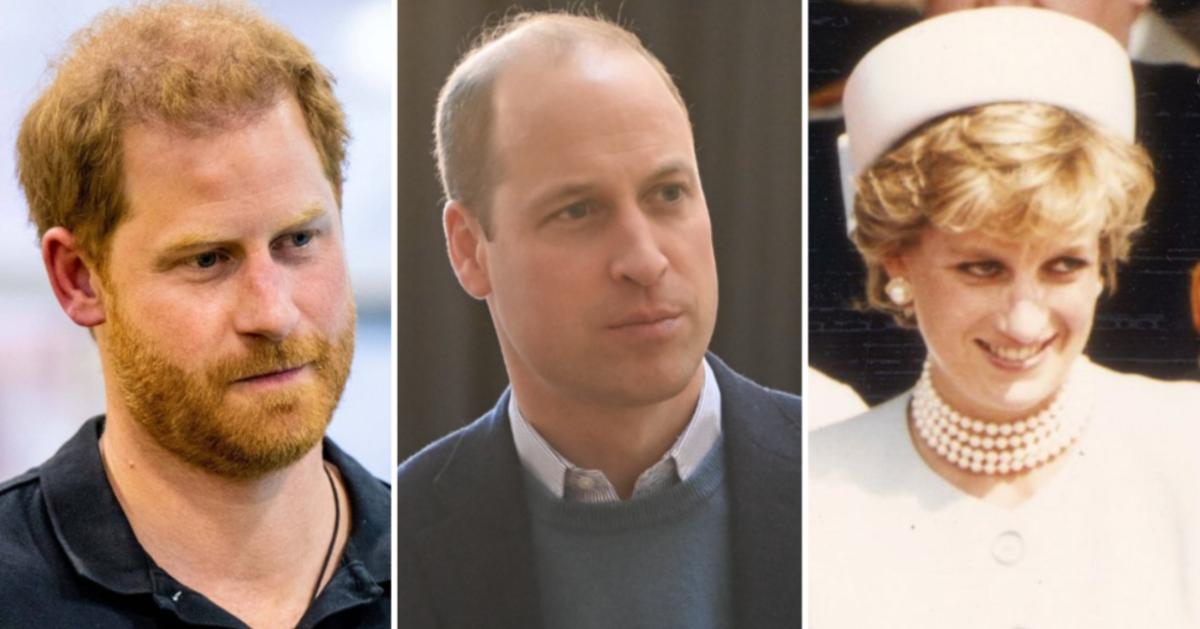Prince Harry & Prince William 'Split' Over Princess Diana Doc