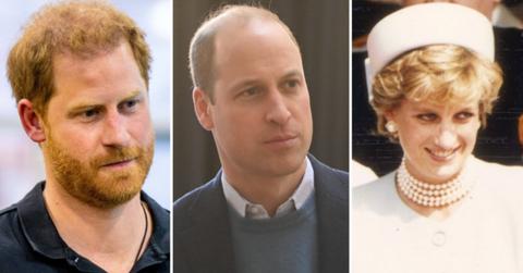 prince harry prince william divided princess diana interview