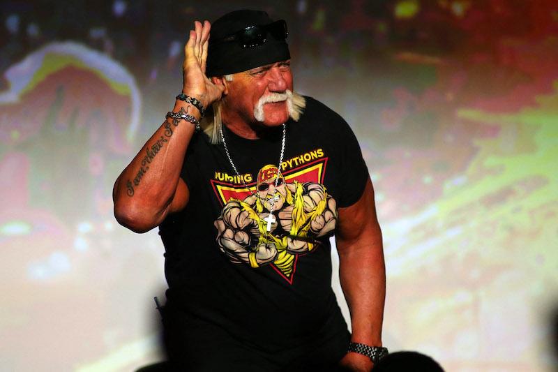 hulk hogan running president