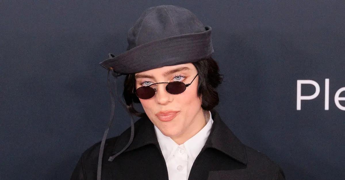 Billie Eilish Violently Grabbed By Fan At Her Concert Watch