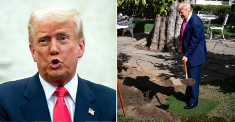 Composite photo of Donald Trump