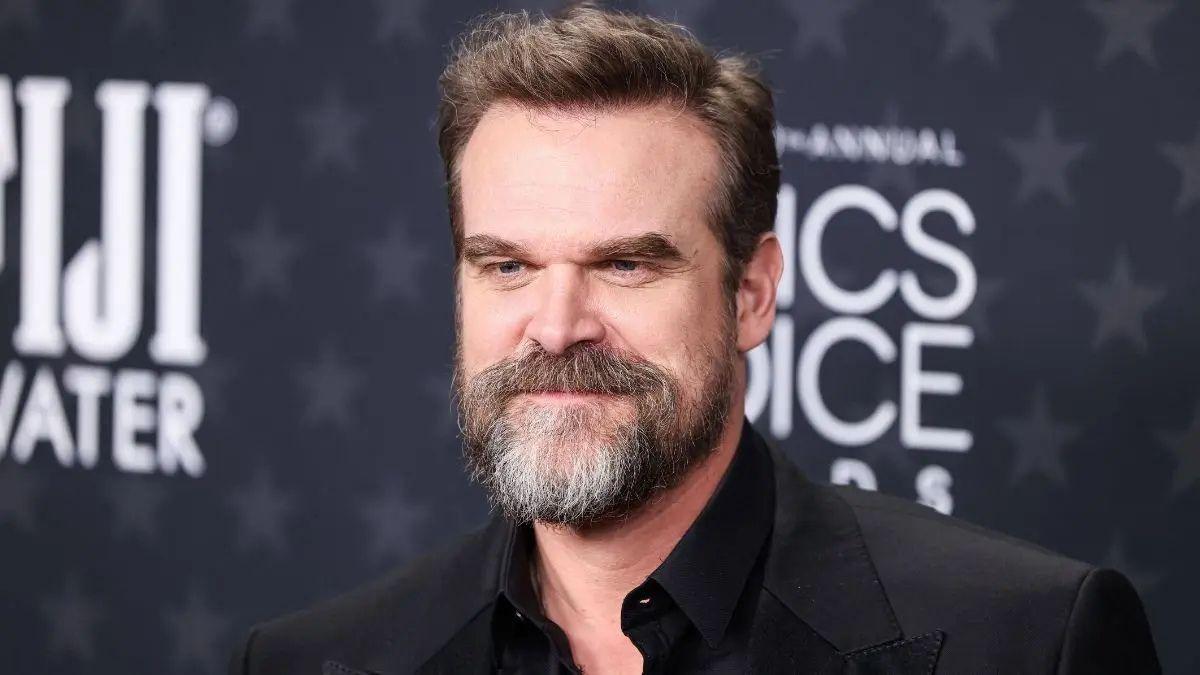 Photo of David Harbour's bipolar diagnosis led him to act 'erratically.'