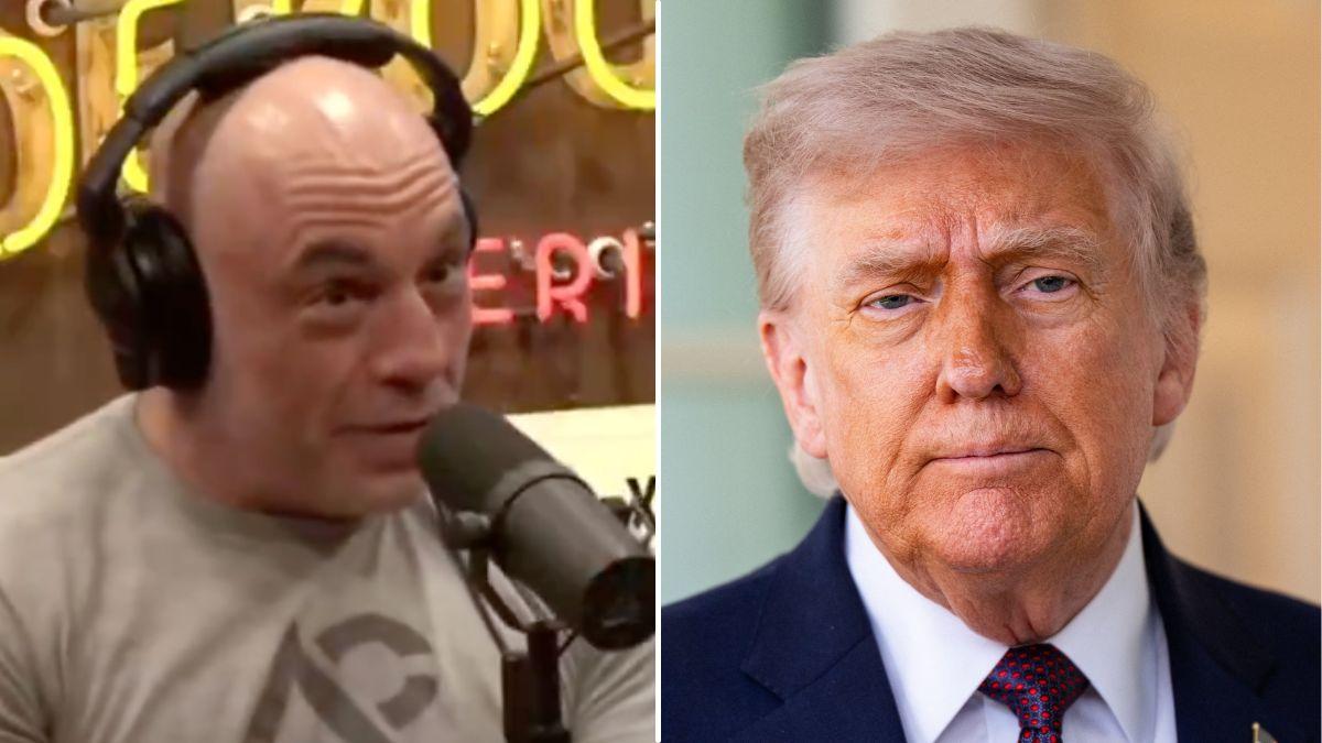 split of Joe Rogan & Donald Trump. 