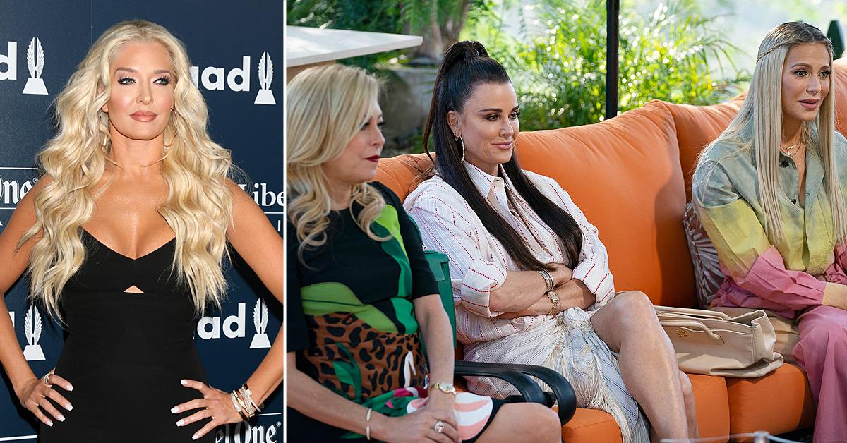 erika jayne slams rhobh cast questioning legal woes