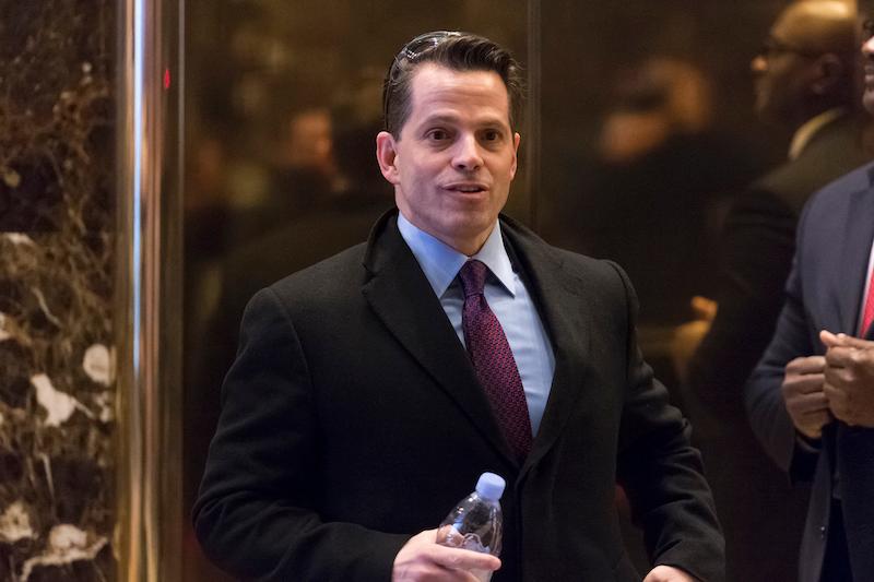 anthony scaramucci donald trump no money