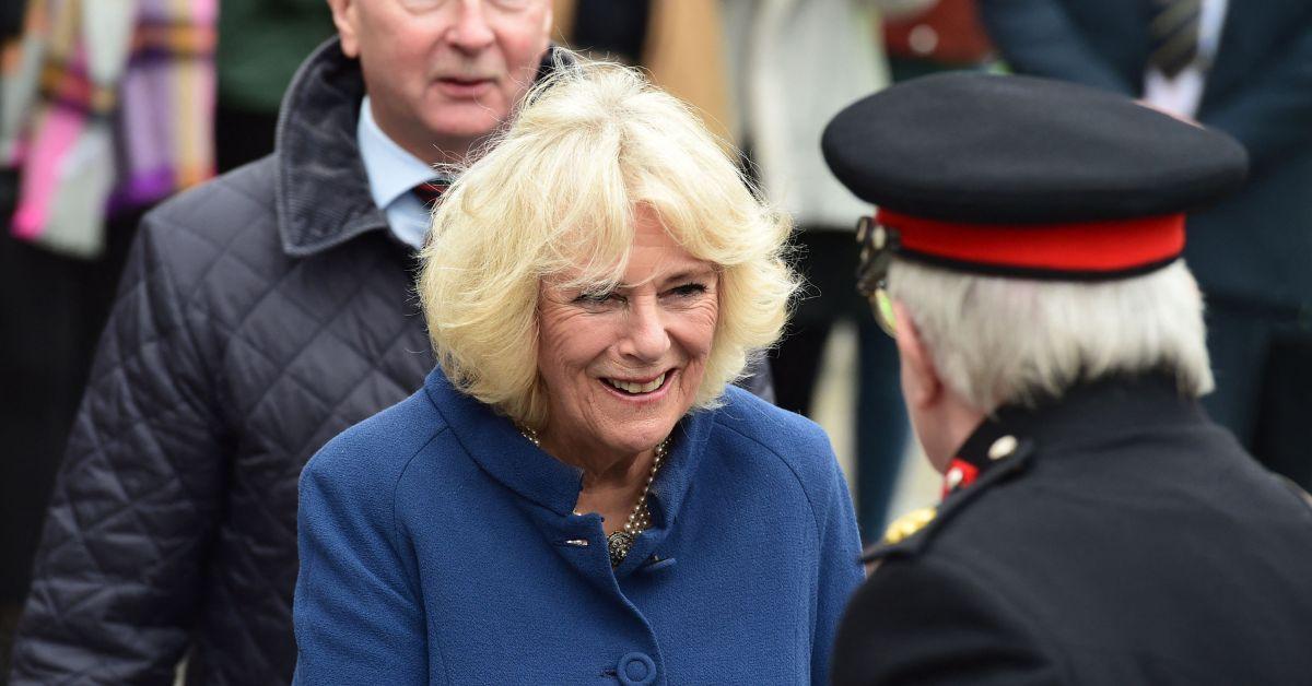 image of Queen Camilla was allegedly featured in the Epstein files nine times. 