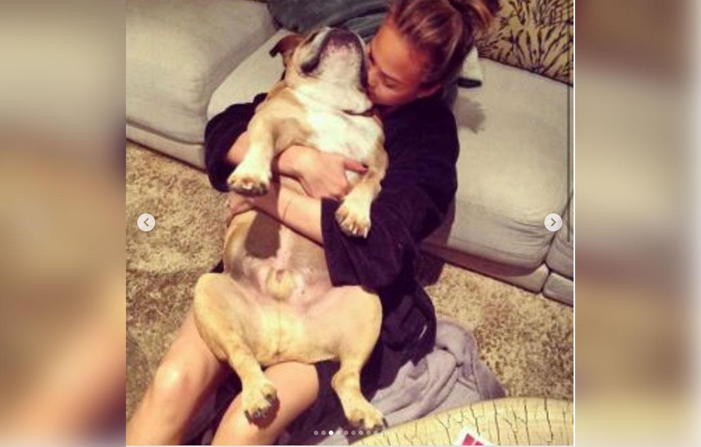 Chrissy teigen dog dead 3