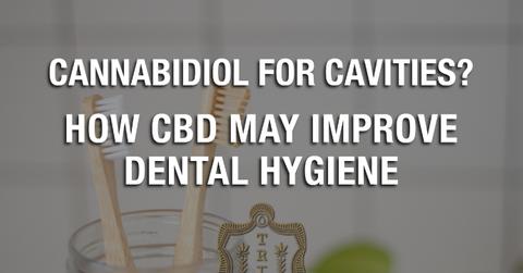 cannabidiol for cavities how cbd may improve dental hygiene pp