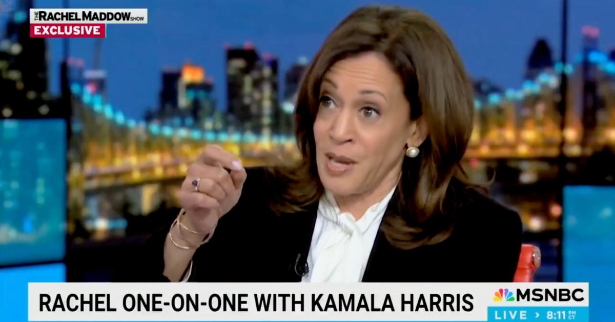 Image of Kamala Harris expressed concerns for the country during a recent appearance on MSNBC.