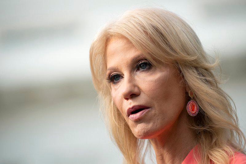 kellyanne conway donald trump running mate beat kamala harris