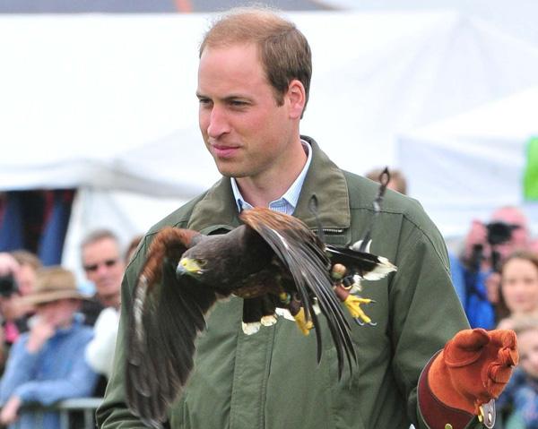 Prince William Handles A Falcon