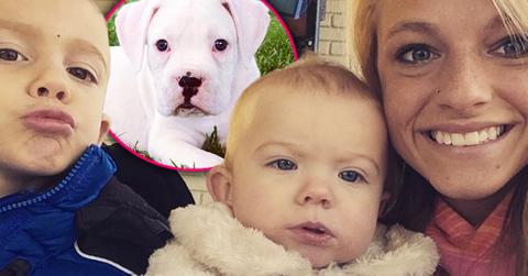 Mackenzie mckee adopts puppy diesel