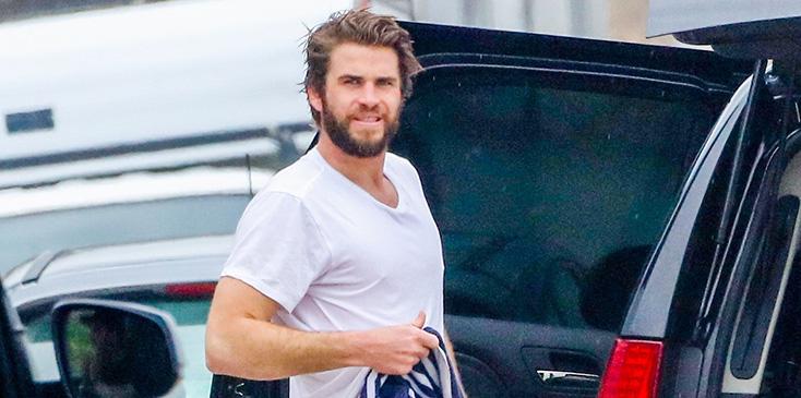 *EXCLUSIVE* Liam Hemsworth shows Incredible Physique after Surfing in Malibu