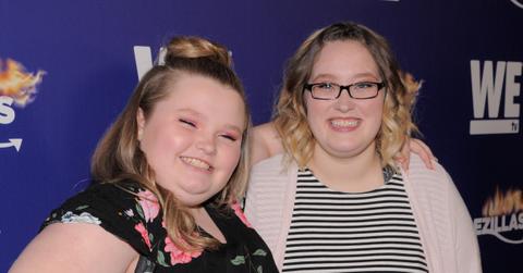 honey boo boo sister twins