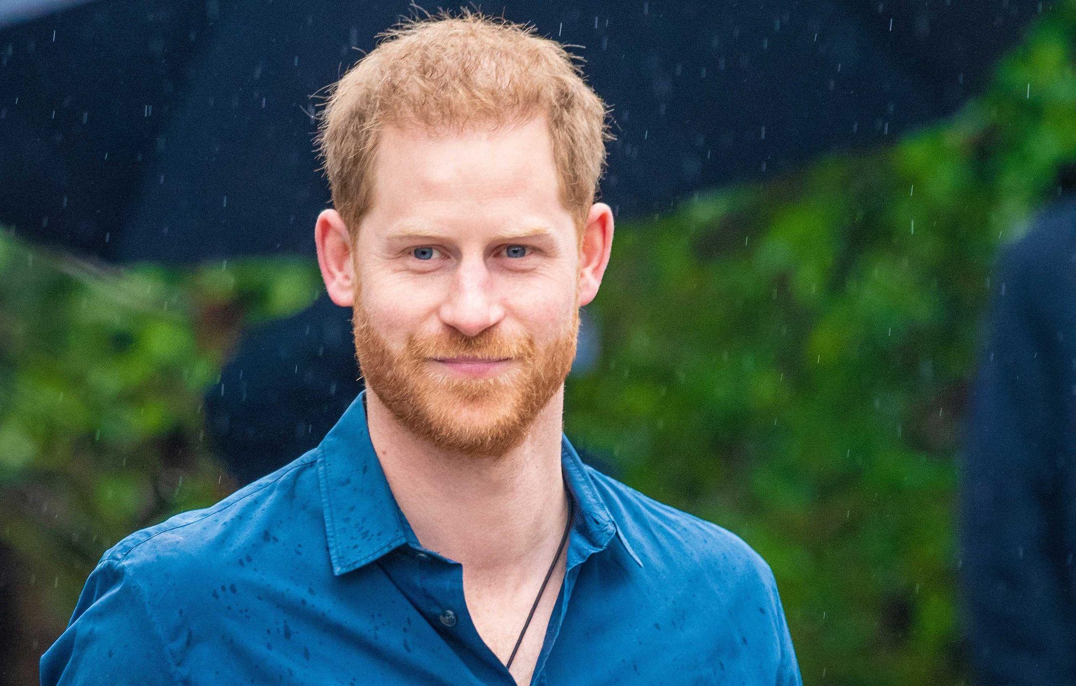 prince harry  pm